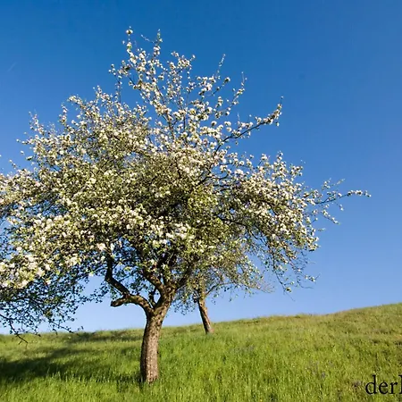 In Schwalbenhof Farm * Haselbach