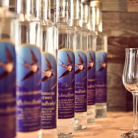 In Schwalbenhof Farm Lejlighed *