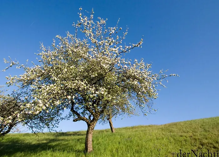 In Schwalbenhof Farm * Haselbach