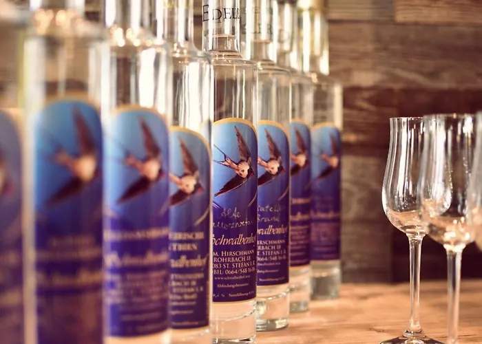 In Schwalbenhof Farm Apartment *